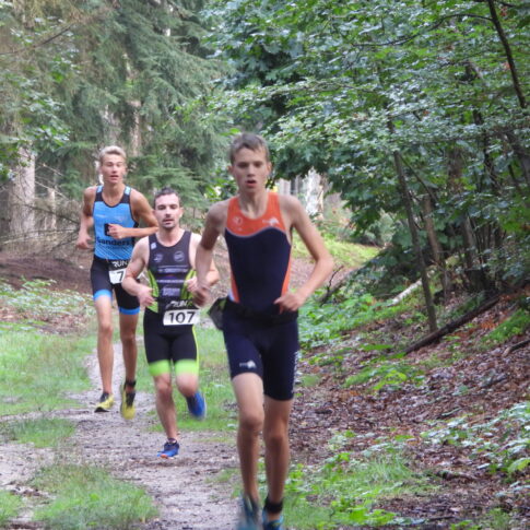 Hardlopers op een bospad