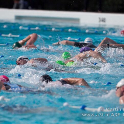 Zwemmers actief in verschillende banen