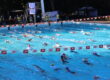 Buitenzwembad met zwemmers tussen de lijnen en met half schaduw en half in de zon. Speedo vlaggetjes boven het water. Spandoek met sponsor Brouwers op de achtergrond
